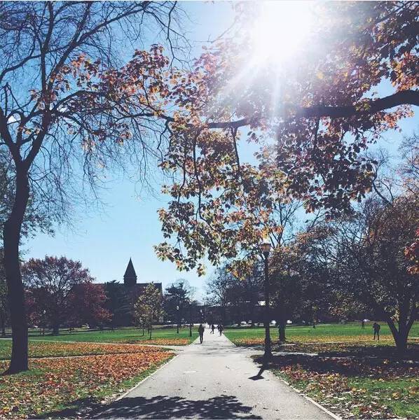 美俄亥俄州立大学怎么样,俄亥俄州州立大学国内认可度