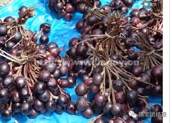 德宏目瑙纵歌节日,德宏目瑙纵歌节12月