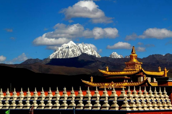 看了这篇文章，*藏西**购物不怕坑！