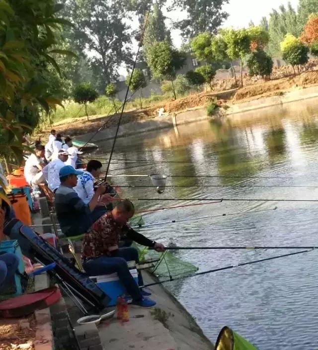 南阳古镇钓鱼比赛冠军,南阳行营钓具