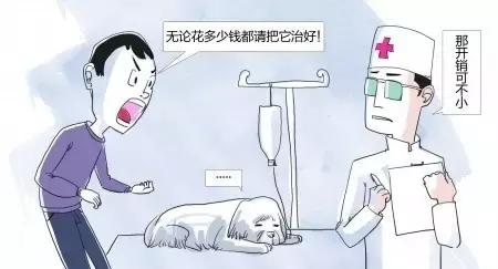 开宠物医院会血本无归吗,不做好准备不要养狗