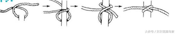 东东画眉鸟套之各种好看实用的绳套你了解吗？