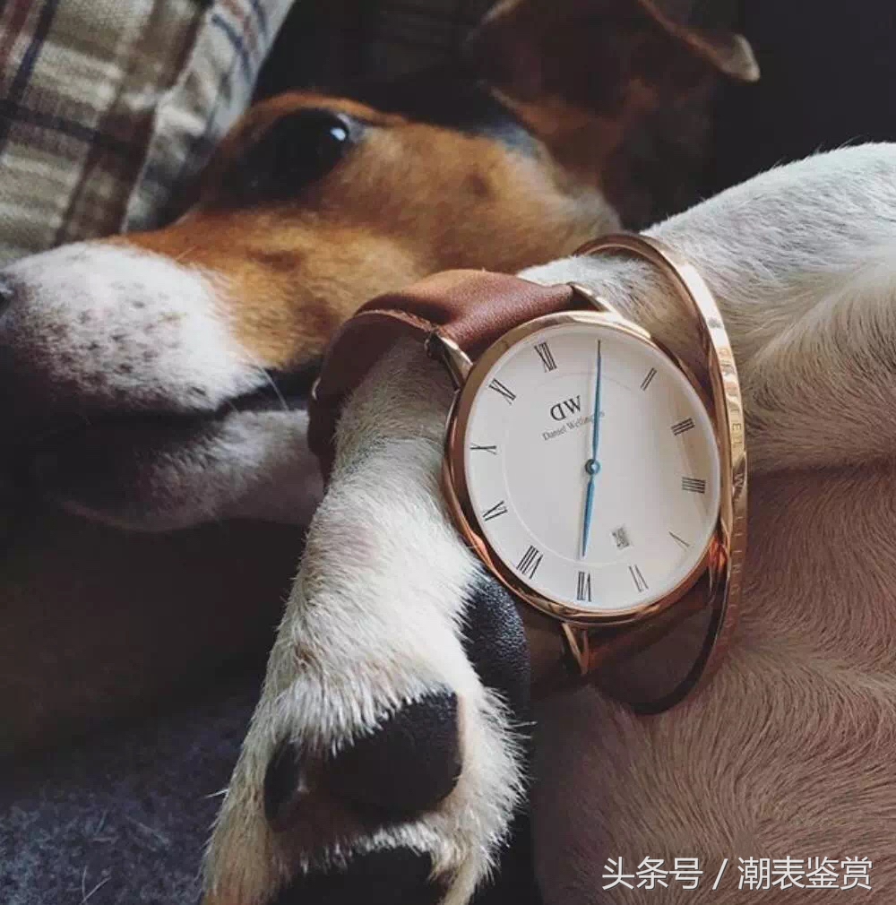 怎样鉴别dw手表真假,怎么鉴别真假dw手表