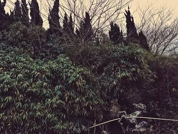 活久见的离奇事件,活久见电影全集