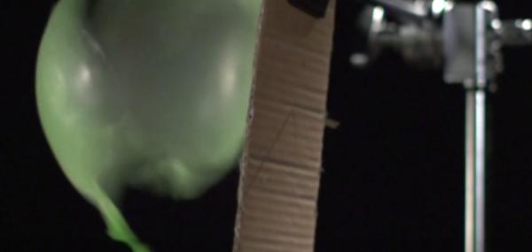 灏忓鐜╃殑鏈ㄨ川寮撳缉鏈夊鍗遍櫓,灏忓鐜╃殑寮撳缉鏈夊鍗遍櫓