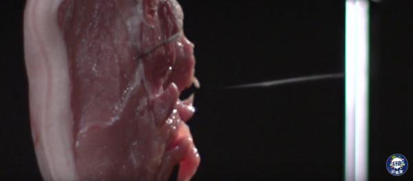 灏忓鐜╃殑鏈ㄨ川寮撳缉鏈夊鍗遍櫓,灏忓鐜╃殑寮撳缉鏈夊鍗遍櫓