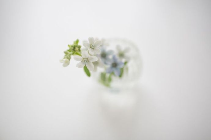 蓝颜红颜都是知己,所谓的蓝颜红颜知己