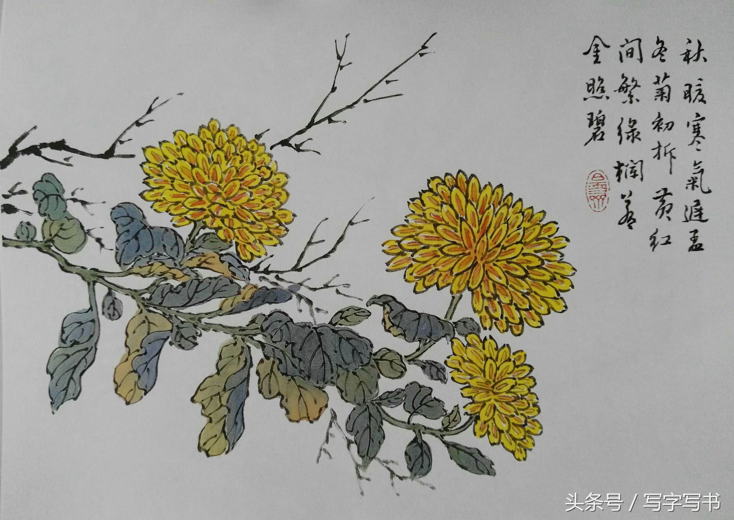 工笔画梅兰竹菊画法大全第一部分,墨牡丹花画法技巧
