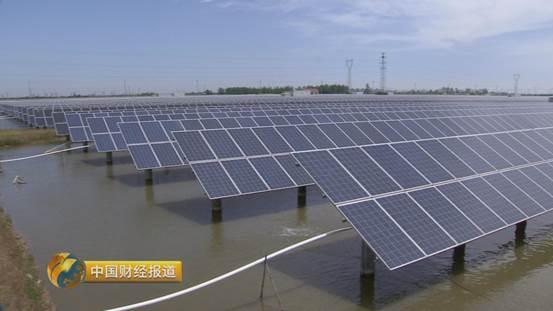 十亩水库养鱼一年收益,一亩鱼塘养鱼的收益