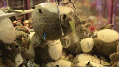 钱是最可靠的东西能够带来安全感,最有安全感的东西就是钱