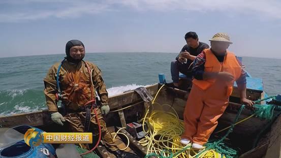 十亩水库养鱼一年收益,一亩鱼塘养鱼的收益