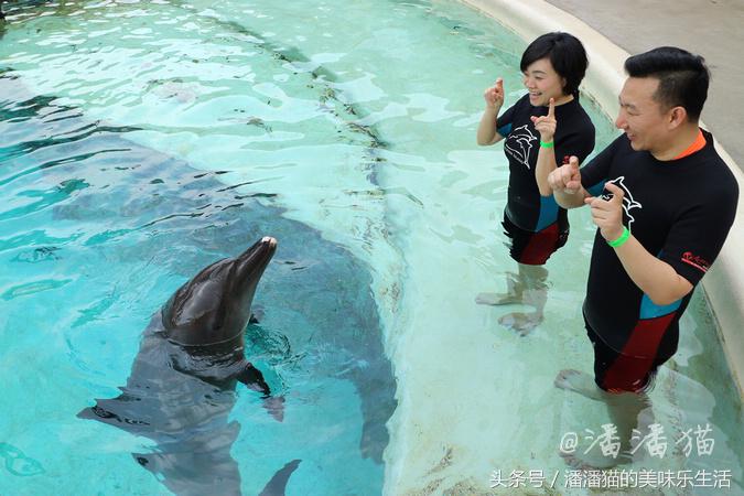 新加坡圣淘沙一日游路线图,新加坡圣淘沙游玩攻略费用