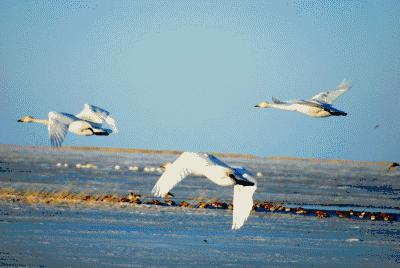 没有背景的人会创业告捷吗,现在创业失败了还有机会翻身吗