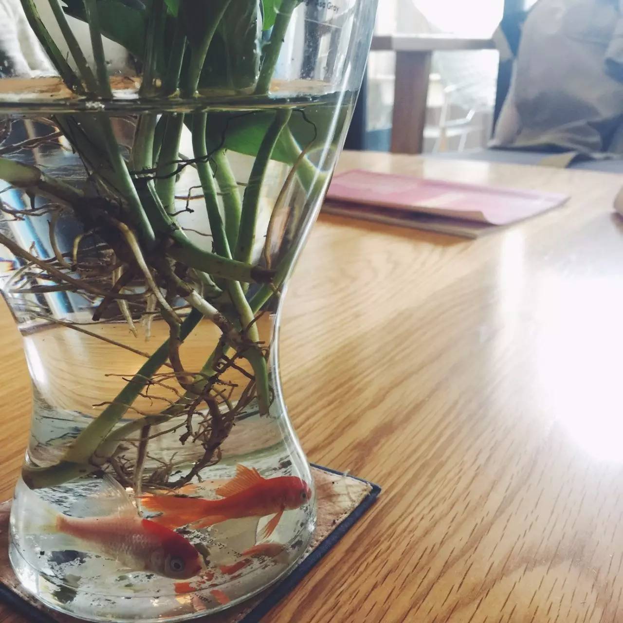 新房装修完工，4万硬装+3万软装，家具都是淘宝买的，美爆了