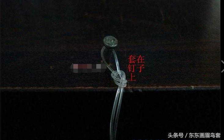 东东画眉鸟套之各种好看实用的绳套你了解吗？