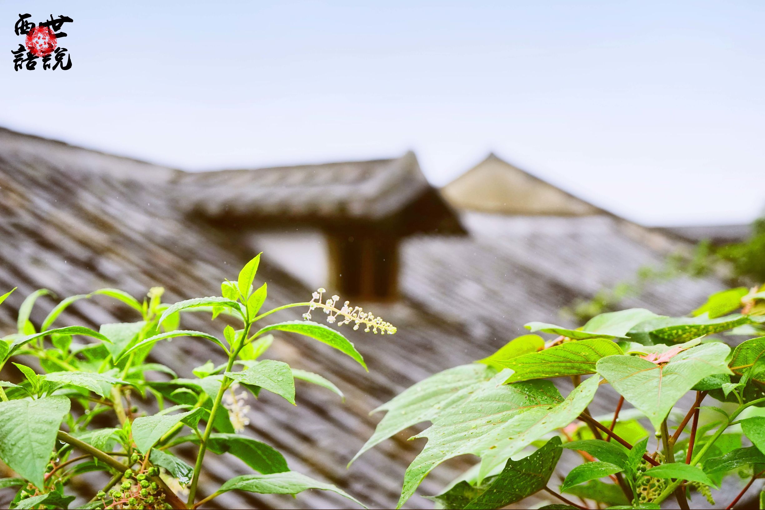 矾山矾矿遗址福德湾旅游攻略,福德湾矾矿遗址