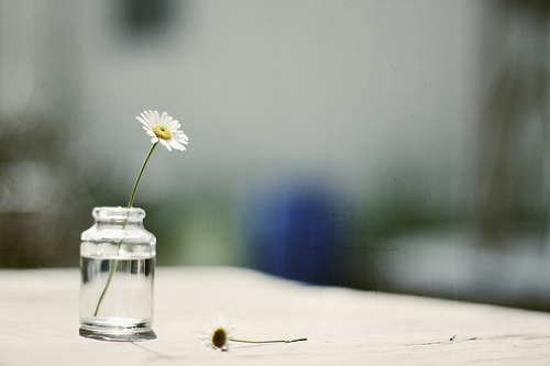 蓝颜红颜都是知己,所谓的蓝颜红颜知己