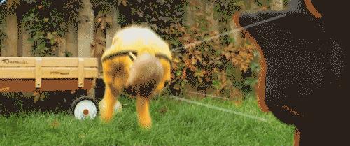 如果你有女儿要注意什么,如果你有女儿千万告诉她这四点