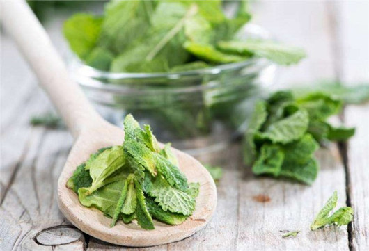 薄荷叶对蚊子有好处吗,干薄荷叶能够驱蚊虫吗