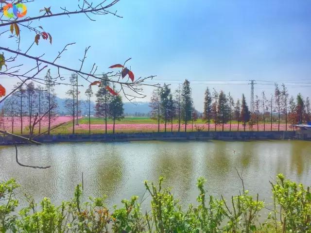 珠海攻略必去景点推荐,珠海一日游最值得去的地方