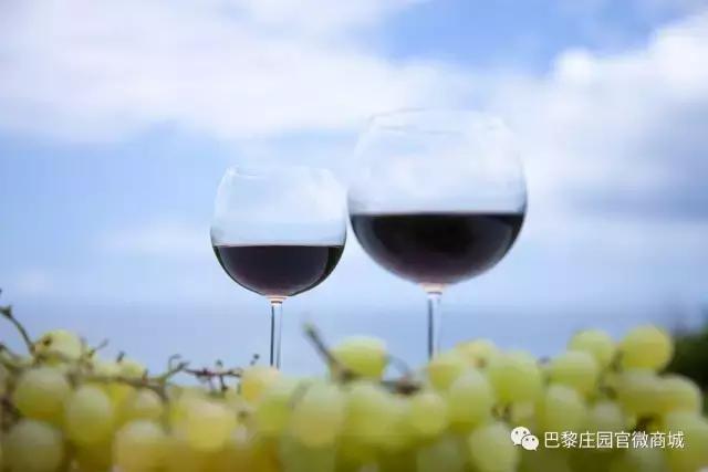 如何挑选一款合适的葡萄酒杯,葡萄酒杯怎么选择容量