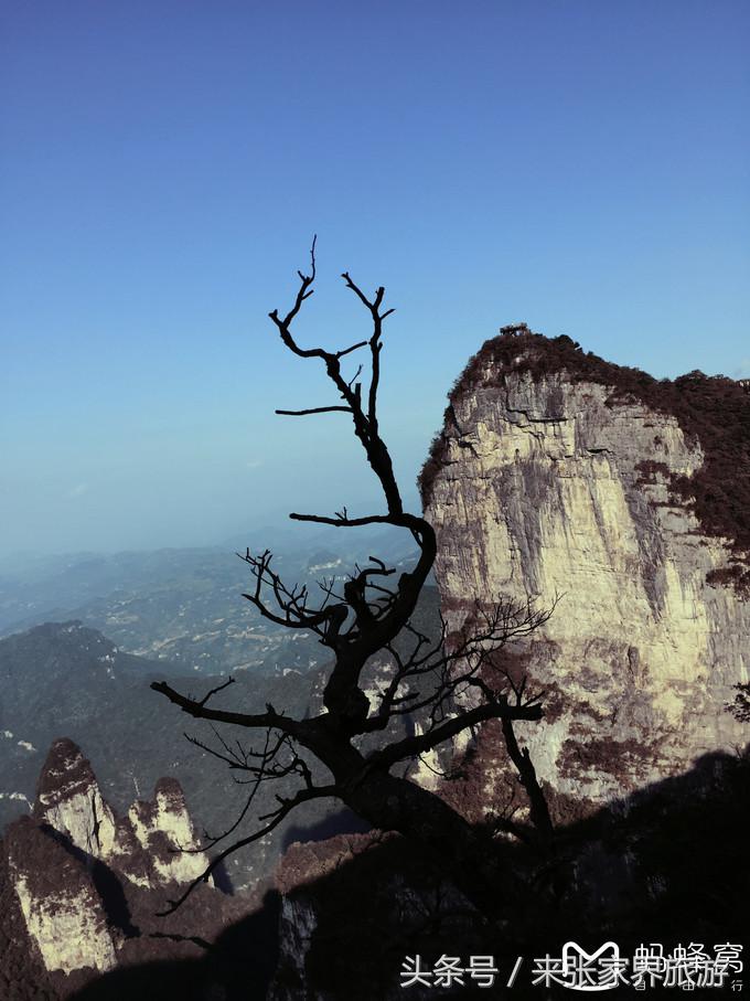 张家界五日游多少钱一个人 (自己张家界六日游详细攻略)