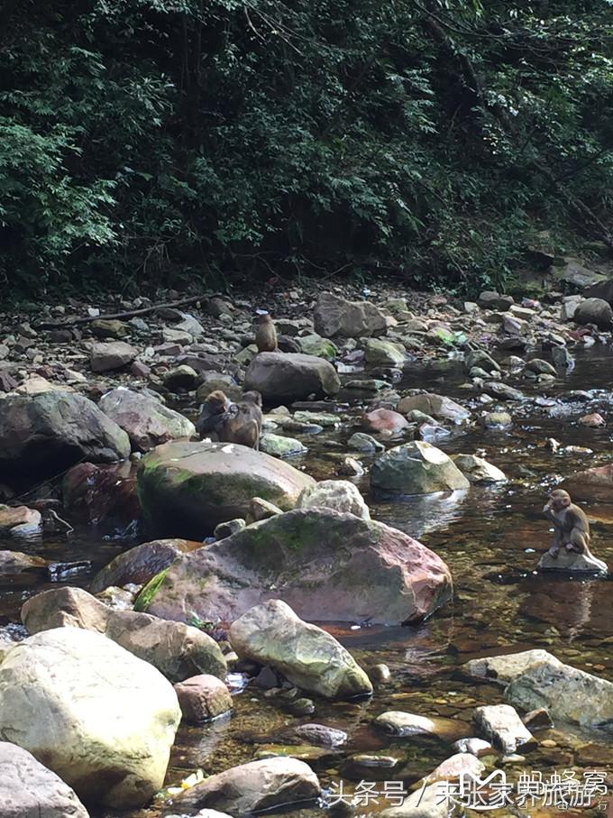 张家界五日游多少钱一个人 (自己张家界六日游详细攻略)