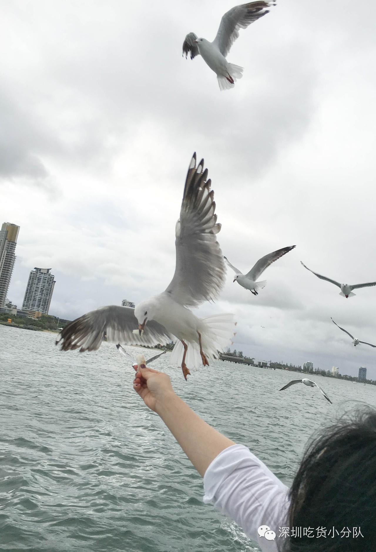 吃货浪游记丨我的胃说想去南半球看看~