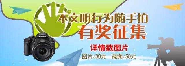 lvdiorguccichanel哪个好,dior迪奥妈妈包