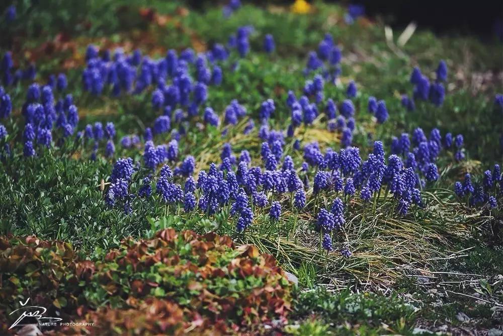 暑期日本之旅,暑假日本旅游攻略