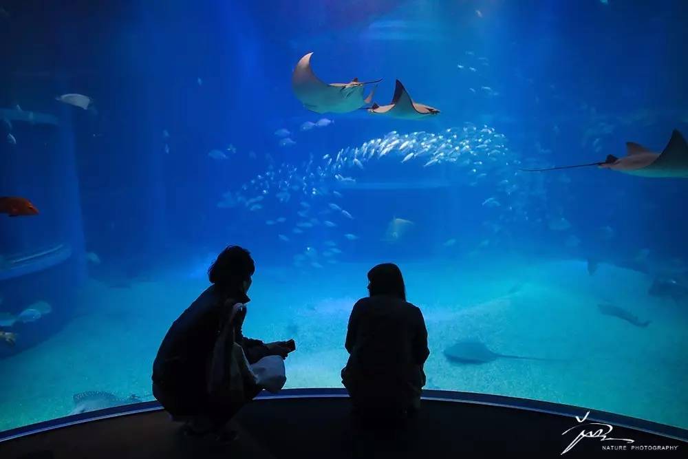 暑期日本之旅,暑假日本旅游攻略