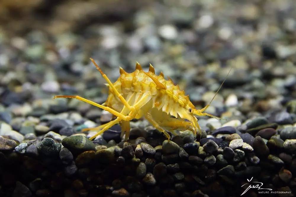 暑期日本之旅,暑假日本旅游攻略