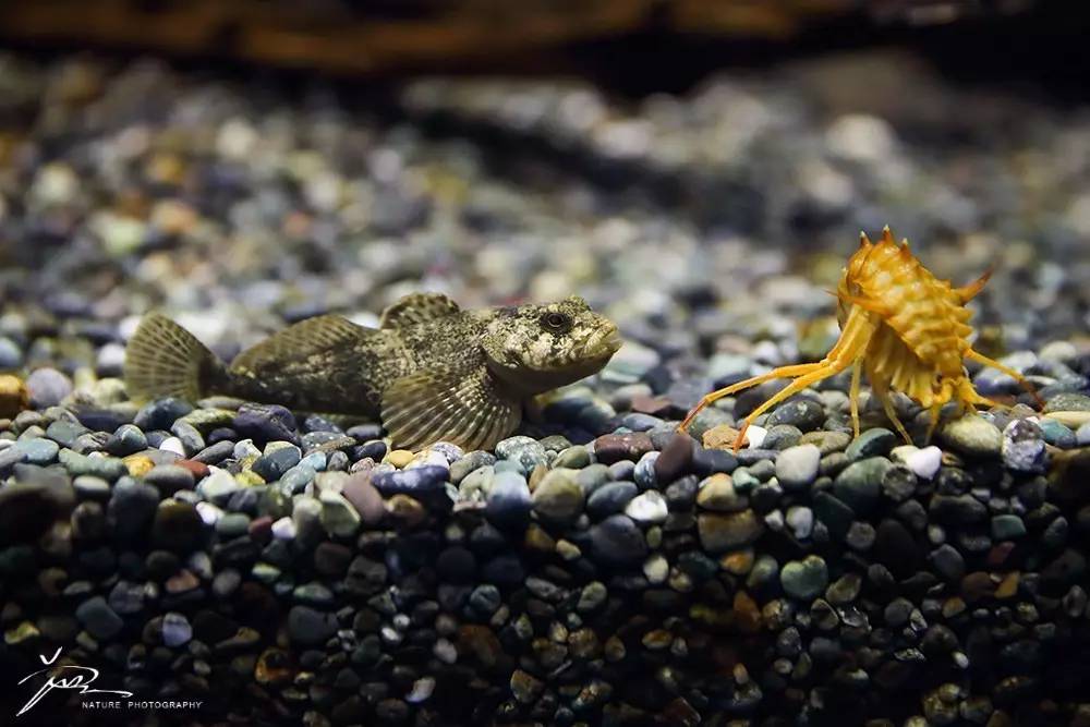 暑期日本之旅,暑假日本旅游攻略