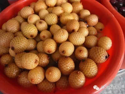 德宏目瑙纵歌节日,德宏目瑙纵歌节12月