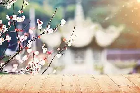 《礼记》经典名句100句,礼记治学经典名句