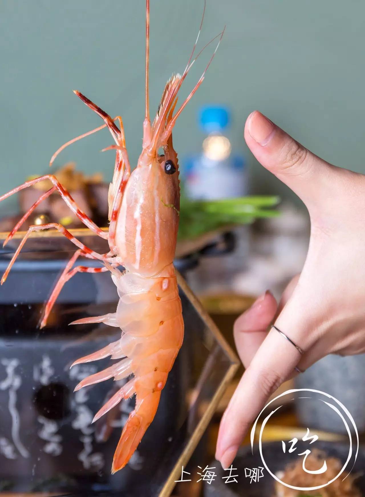 山葵芥末寿司,芥末寿司大战完全版