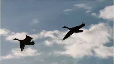 大学离家远是一种什么样的体验？