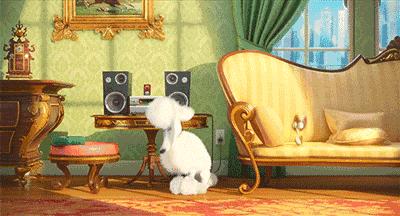 狗和男朋友之间该怎么选,狗子和男朋友选哪个