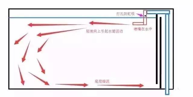 怎么增强鱼缸吸便能力,鱼缸鱼便吸不干净