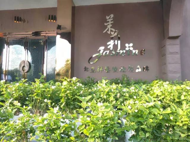 昌吉美食环境优雅,昌吉美食餐厅排行榜前十名