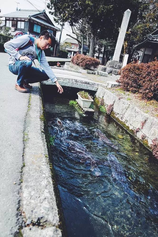 暑期日本之旅,暑假日本旅游攻略