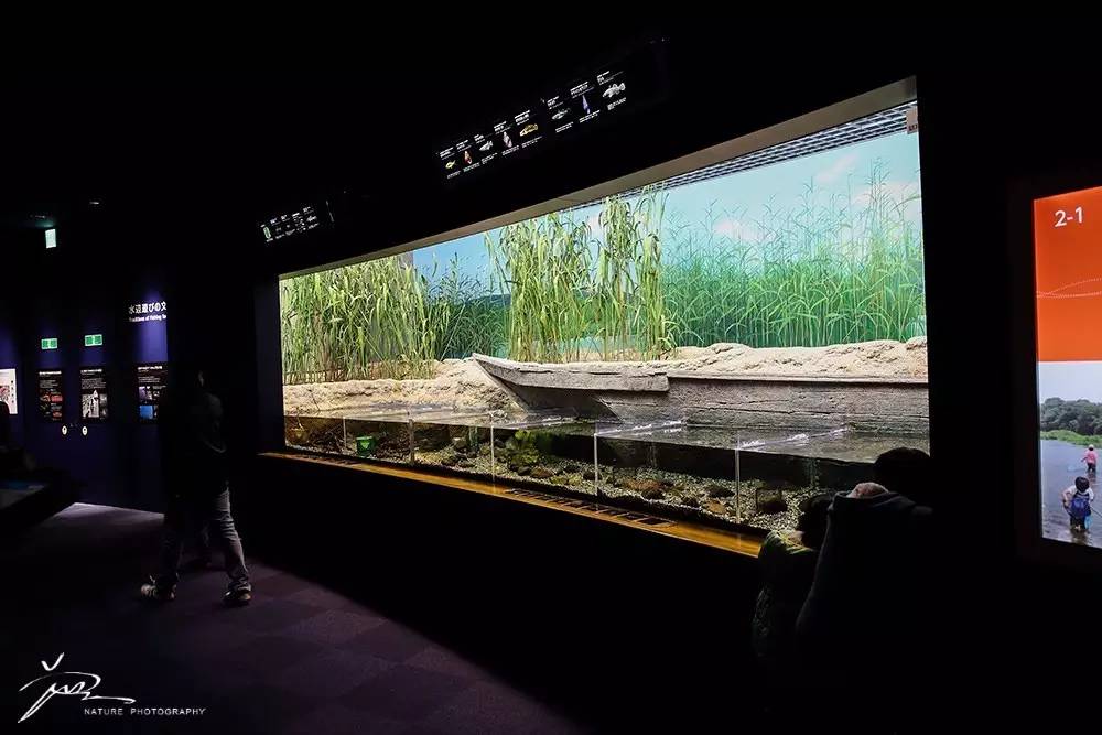 暑期日本之旅,暑假日本旅游攻略