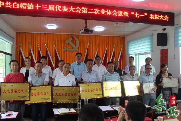 白帽镇召开*共中**白帽镇第十三届代表大会第二次会议暨“七一”表彰大会