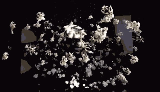 OK!FASHION｜用视觉和嗅觉跟Chanel漫步巴黎