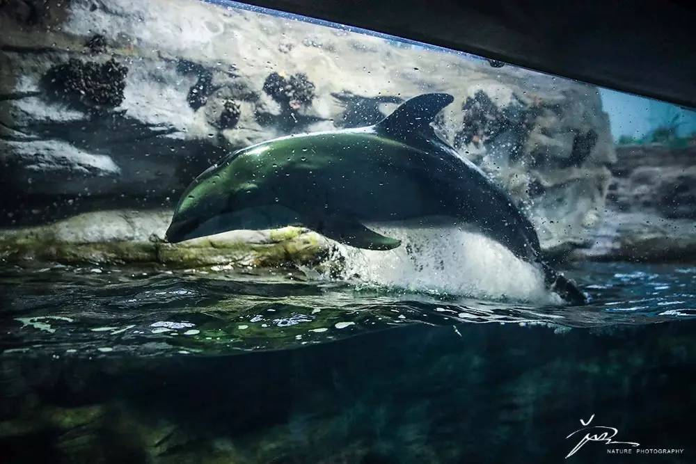 暑期日本之旅,暑假日本旅游攻略