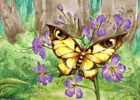 杨红樱作品合适孩子看吗,杨红樱的作品受孩子欢迎的原因