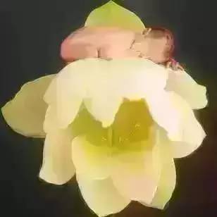 给孕妇买吃的礼物什么比较合适,孕18周宝妈最需要的礼物