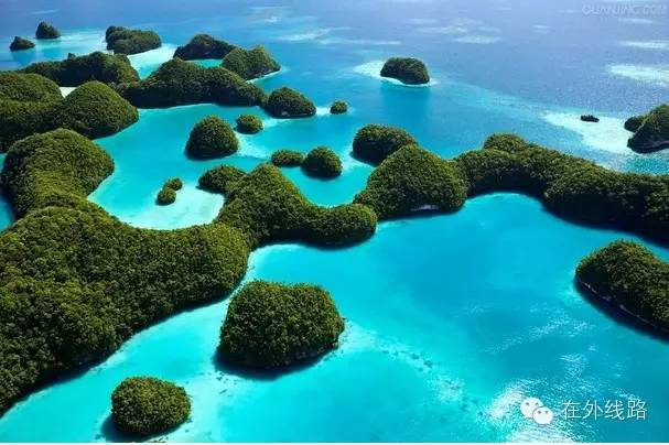 美人鱼帕劳旅游,美人鱼带你去水下世界