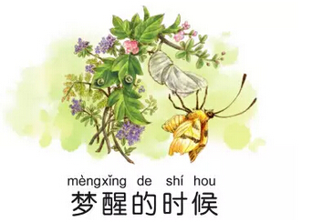 杨红樱作品合适孩子看吗,杨红樱的作品受孩子欢迎的原因