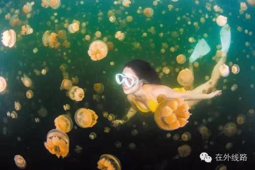 美人鱼帕劳旅游,美人鱼带你去水下世界